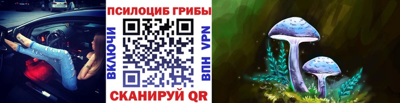 Купить где  Елизово  Галлюциногенные грибы Cubensis 